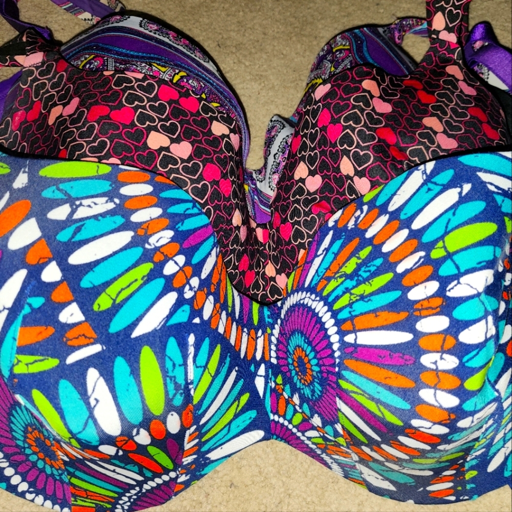 Lane Bryant bras